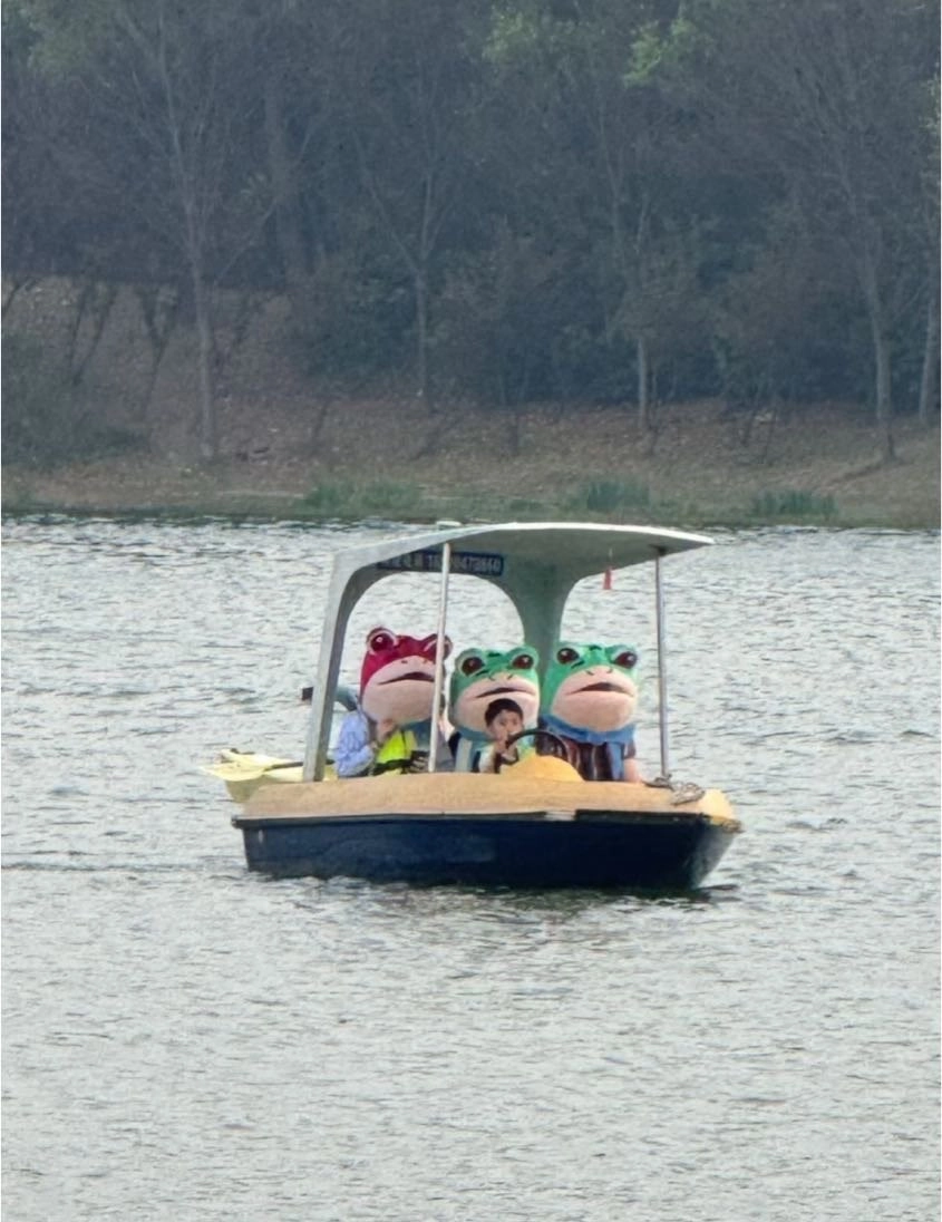 青蛙驾船出巡啦