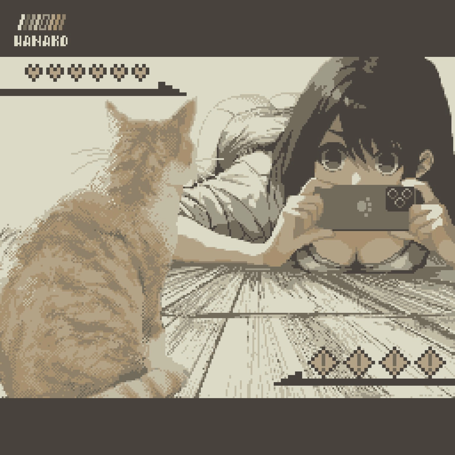 猫咪眼神里全是戏