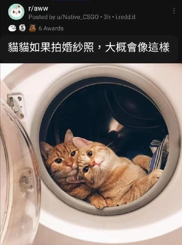 洗澡也要拍婚纱照