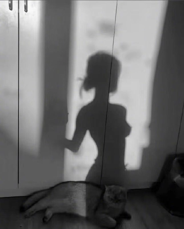 猫咪背后的神秘大美女