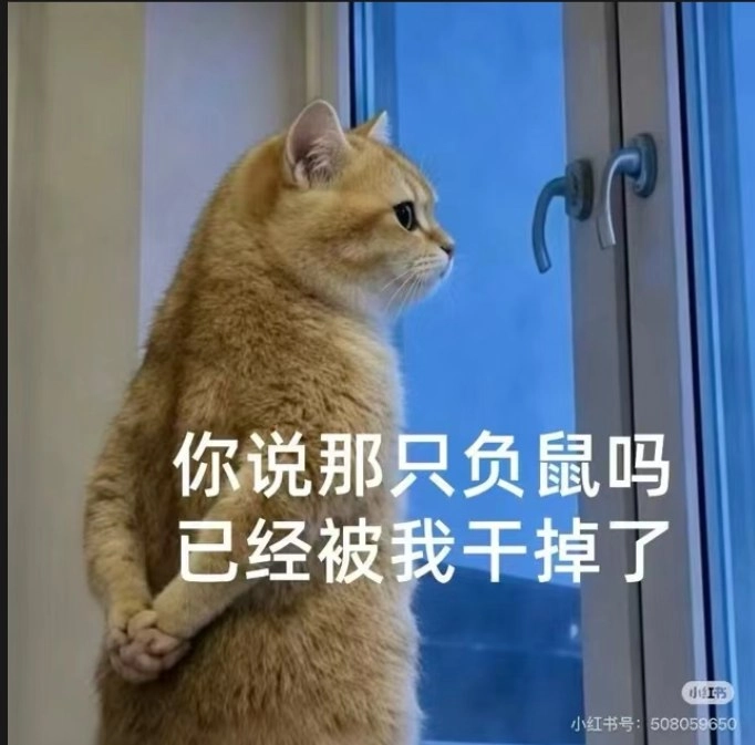 捕鼠特工上线