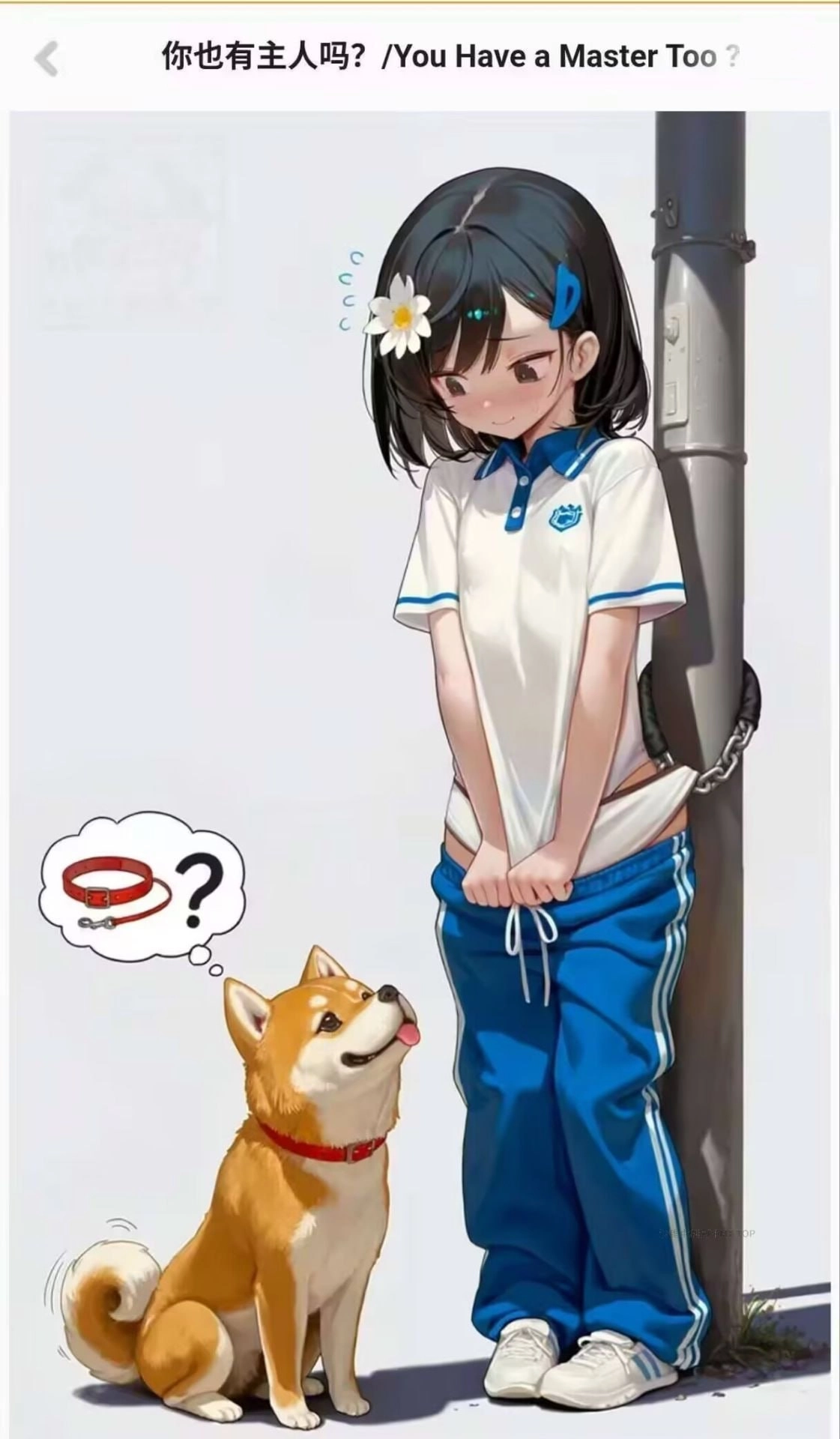 这狗子眼神有点清纯
