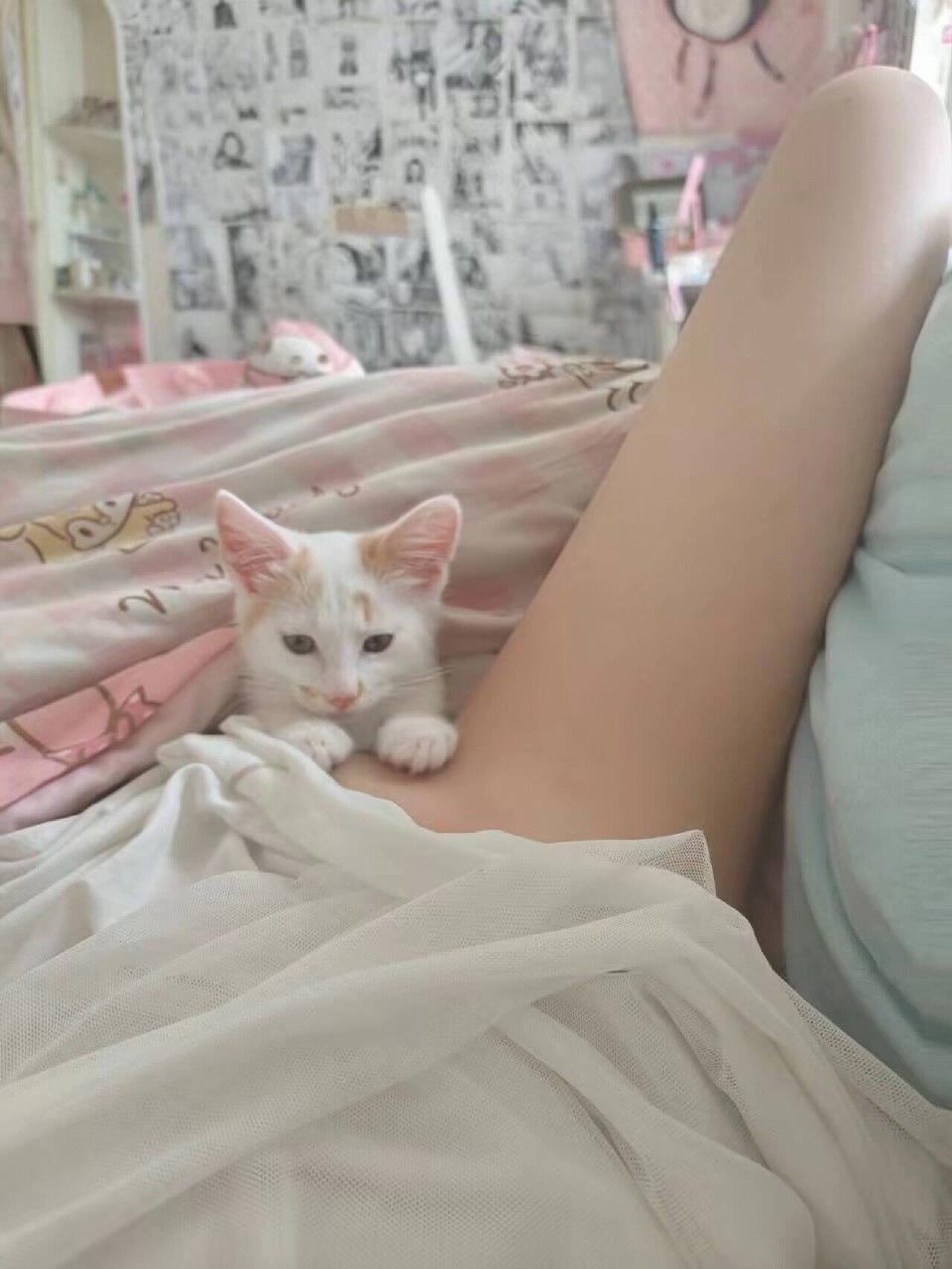 这腿也太像猫爬架了