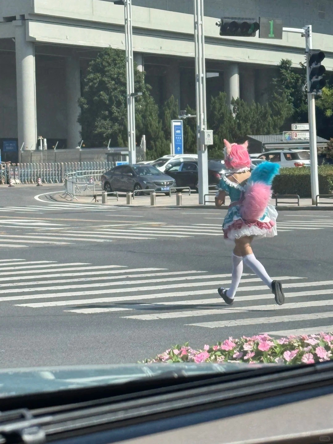二次元勇者横穿马路