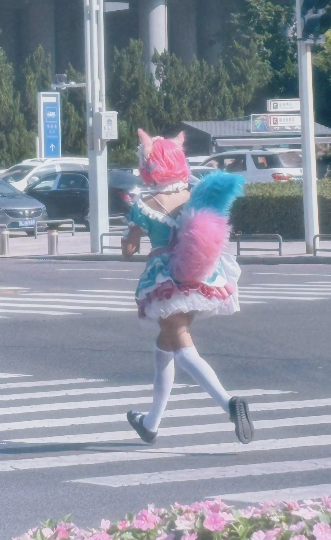 二次元勇者横穿马路