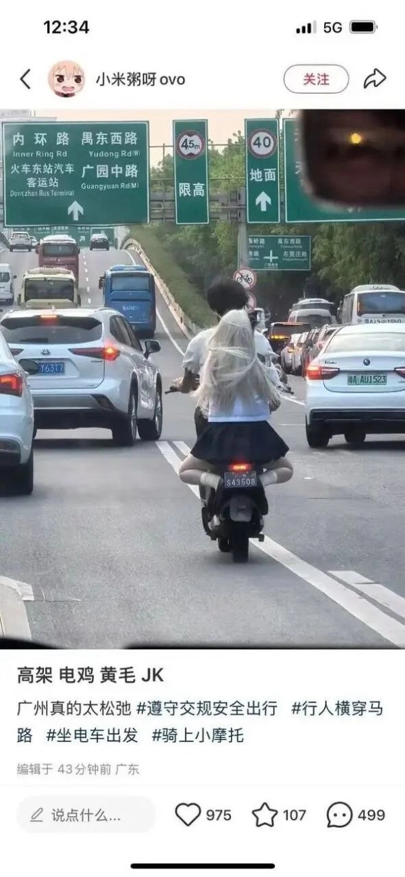 高架桥上的粉色浪漫