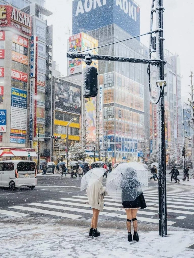 雪中漫步不如原地冻成冰雕