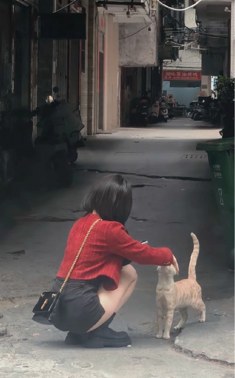铲屎官正试图与猫进行灵魂交流