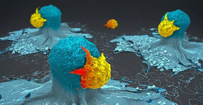 T-Cells-Attacking-Cancer-Cells.jpg