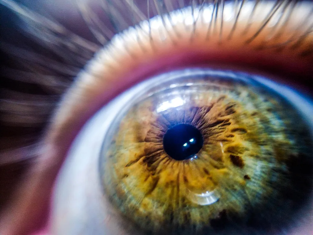 Close-Up-of-Human-Eye.webp