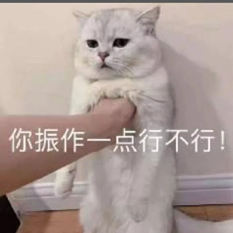 你振作一点行不行 猫猫表情包