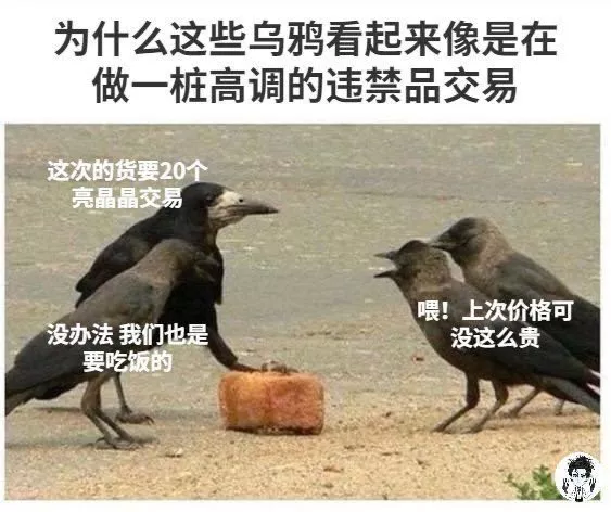 乌鸦违禁品交易 (Indonesian): Perdagangan barang terlarang burung gagak.