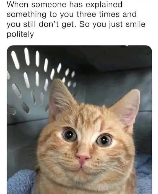 Awkward and impolite smiles kitty