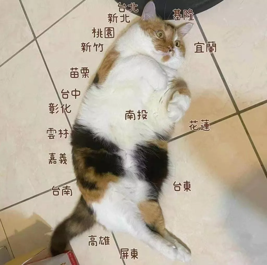 台湾地图 猫猫版