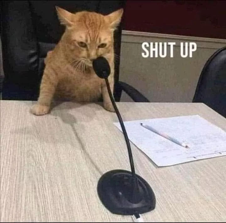 shut up 猫猫表情包