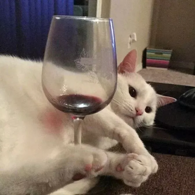 Drunkard's Pussycat.